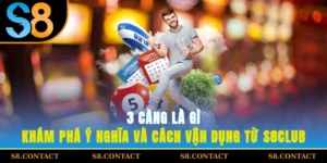 3 càng là gì