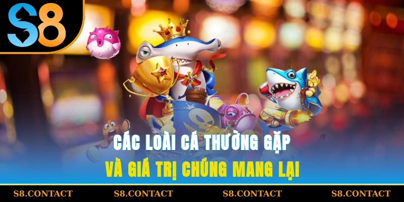 Các loài cá thường gặp và giá trị chúng mang lại