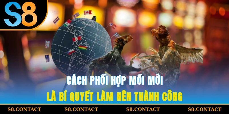 cách phối hợp mồi mới là bí quyết làm nên thành công