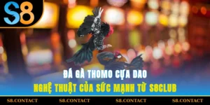 Đá Gà Thomo Cựa Dao