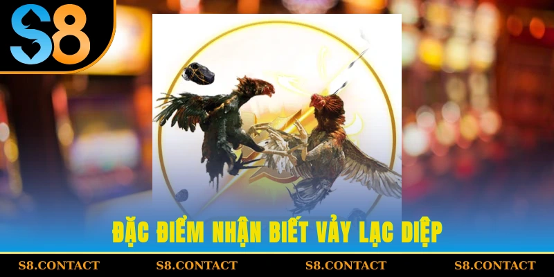 Đặc điểm nhận biết Vảy Lạc Diệp
