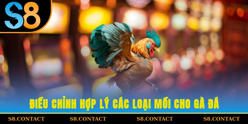Điều chỉnh hợp lý Các loại mồi cho gà đá
