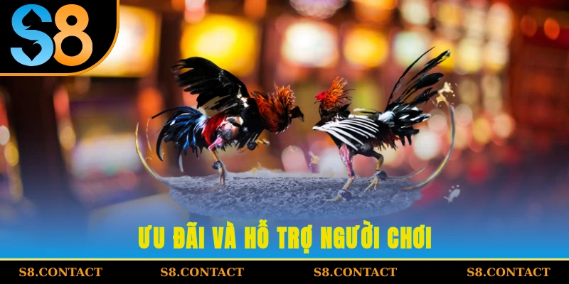 Ưu đãi và hỗ trợ người chơi