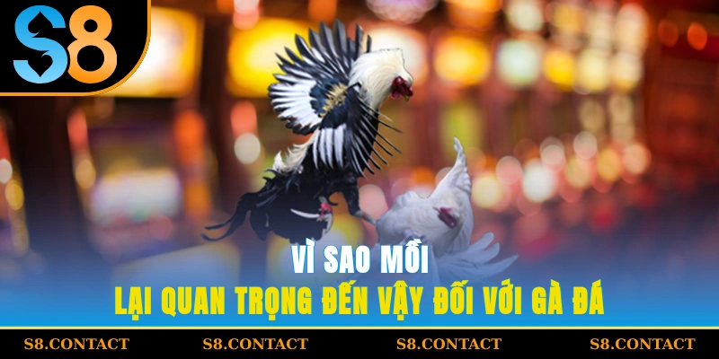 vì sao mồi lại quan trọng đến vậy đối với gà đá