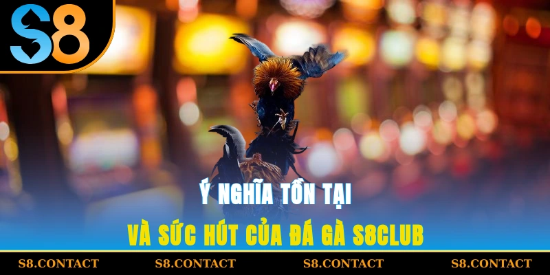 Ý nghĩa tồn tại và sức hút của đá gà S8CLUB