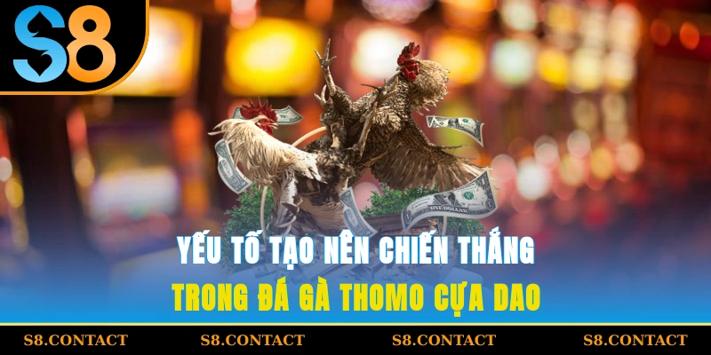 Yếu tố tạo nên chiến thắng trong đá gà Thomo cựa dao