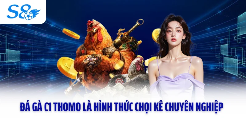Đá gà C1 Thomo là hình thức chọi kê chuyên nghiệp