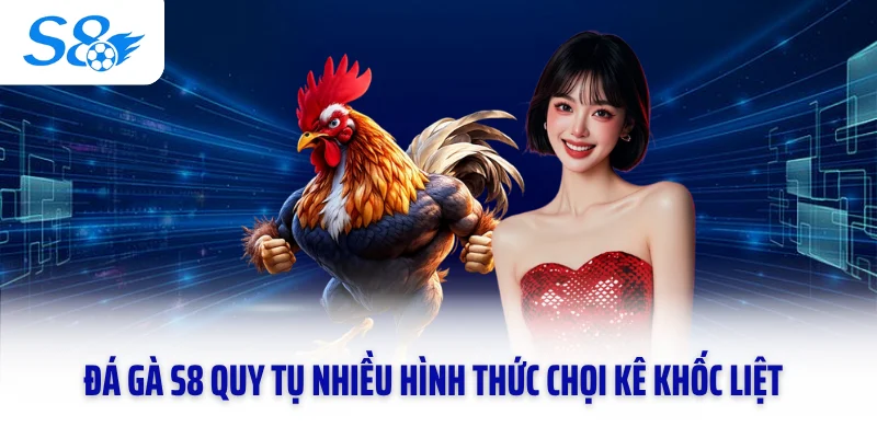Đá gà S8 quy tụ nhiều hình thức chọi kê khốc liệt