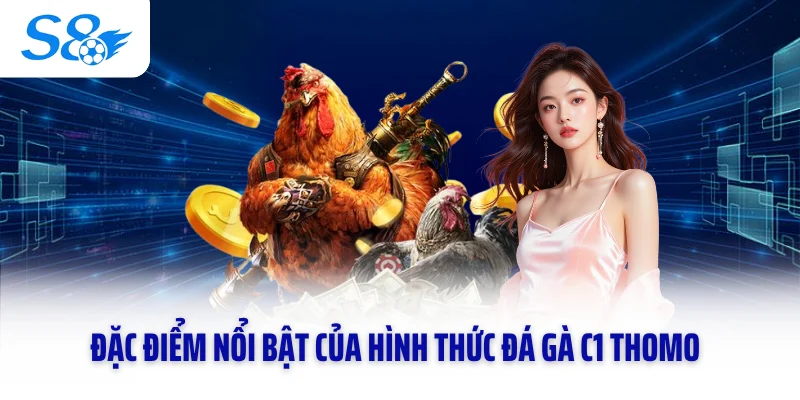 Đặc điểm nổi bật của hình thức đá gà C1 Thomo
