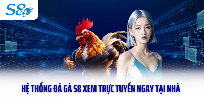 Hệ thống đá gà S8 xem trực tuyến ngay tại nhà