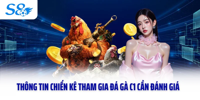 Thông tin chiến kê tham gia đá gà C1 cần đánh giá