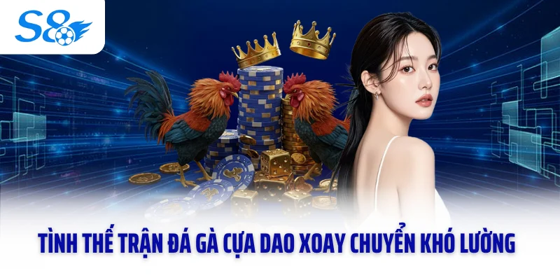 Tình thế trận đá gà cựa dao xoay chuyển khó lường