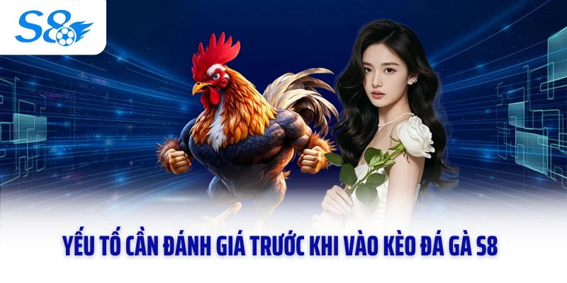 Yếu tố cần đánh giá trước khi vào kèo đá gà S8